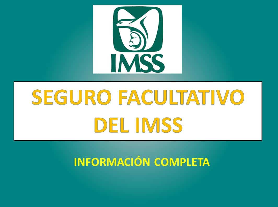 Seguro facultativo IMSS: Qué es y cómo afiliarte